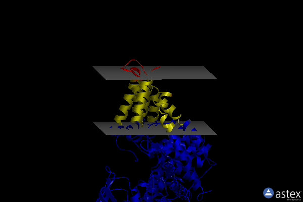 Membrane view of 8bmp