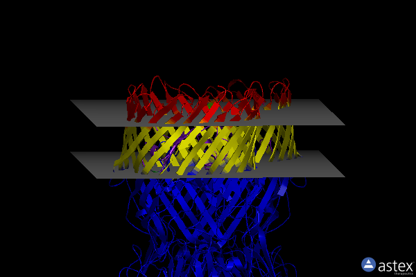 Membrane view of 8bmx