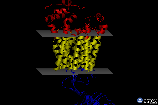 Membrane view of 8bvs