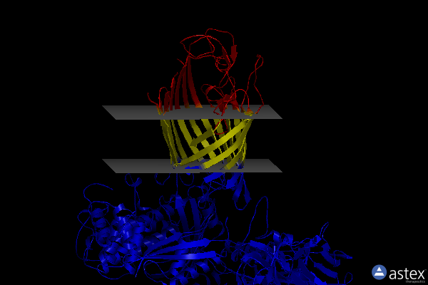 Membrane view of 8bwc