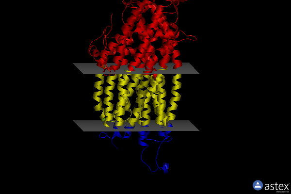 Membrane view of 8bwo