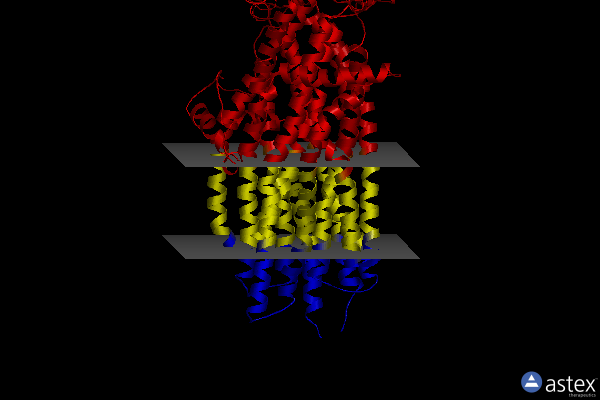 Membrane view of 8bwq
