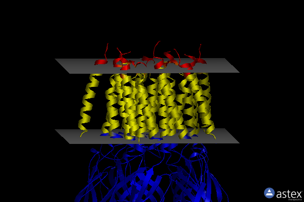 Membrane view of 8bxb