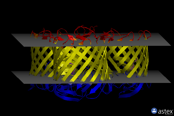 Membrane view of 8byt