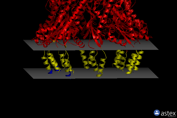Membrane view of 8c0e
