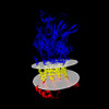 Membrane view of 8c21