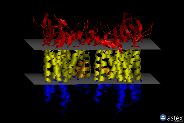 Membrane view of 8c2h