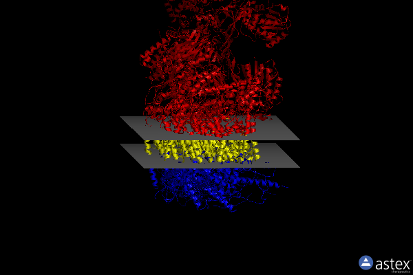 Membrane view of 8c2s