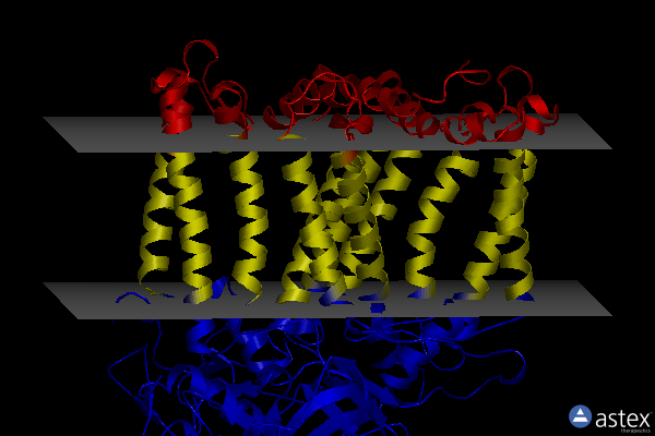 Membrane view of 8c3f