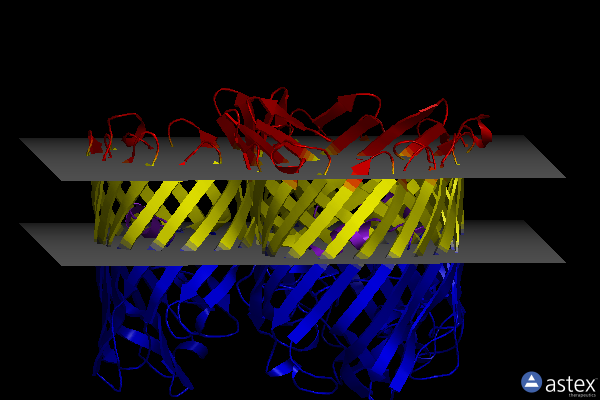 Membrane view of 8c7l