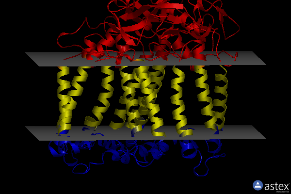 Membrane view of 8c88