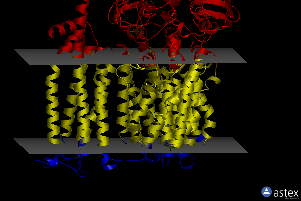 Membrane view of 8ce5