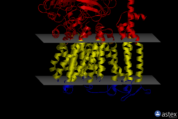 Membrane view of 8cea