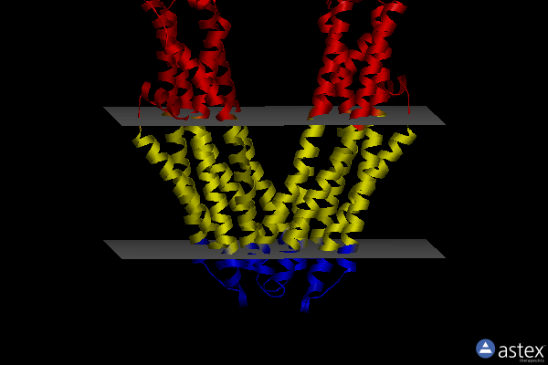 Membrane view of 8chb