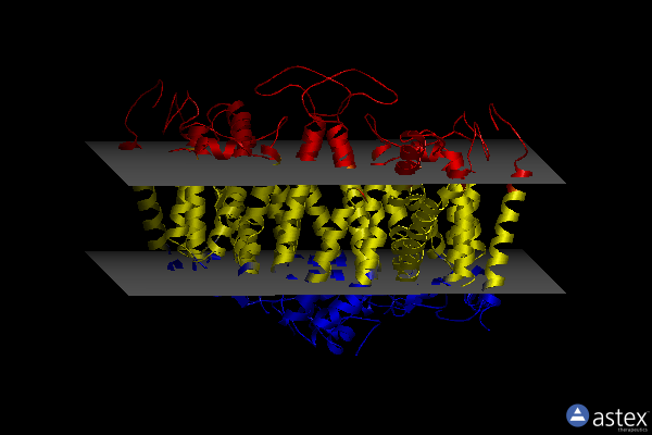 Membrane view of 8crr