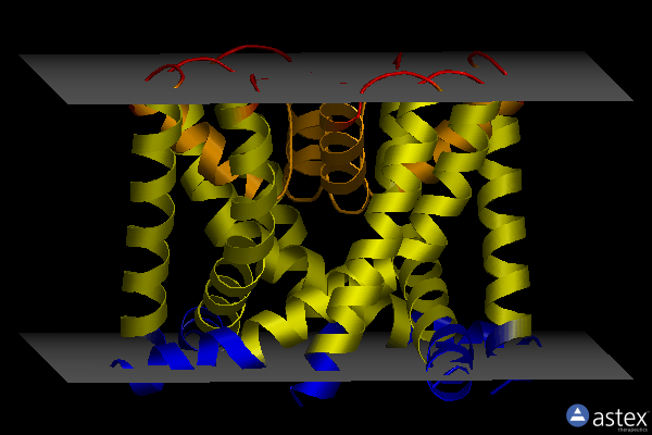 Membrane view of 8ctt