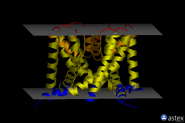 Membrane view of 8ctu