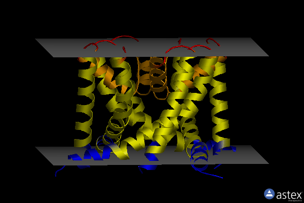 Membrane view of 8ctw