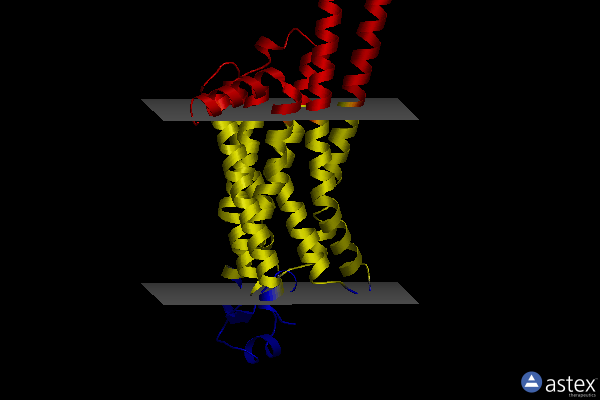 Membrane view of 8cu6