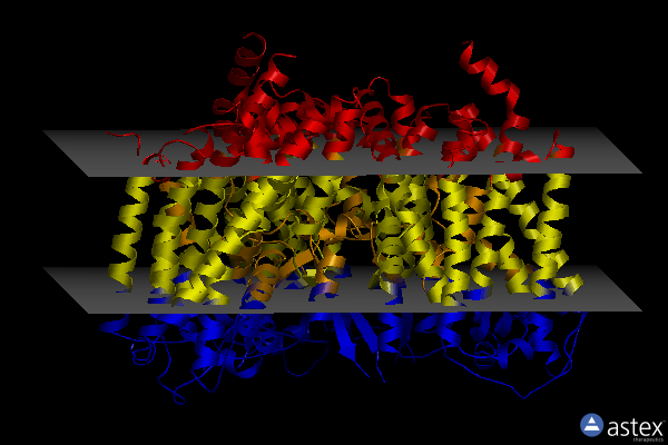 Membrane view of 8cv2