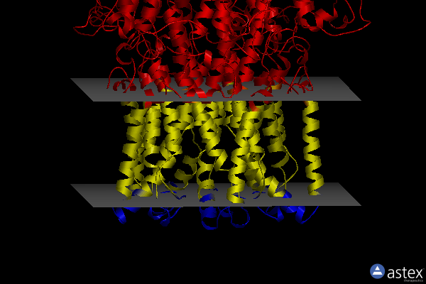 Membrane view of 8d1f