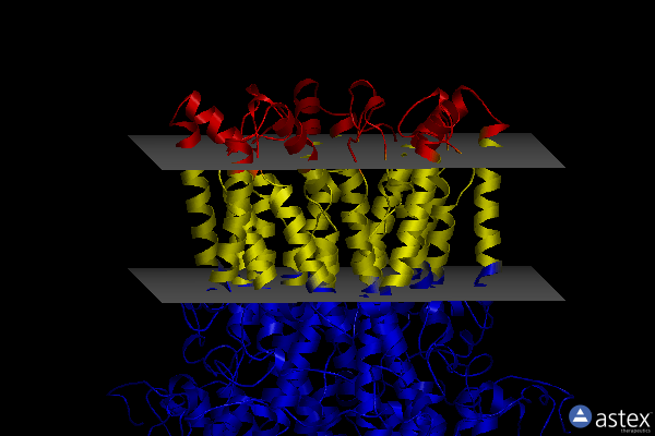Membrane view of 8d1h