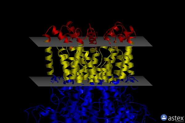 Membrane view of 8d1j
