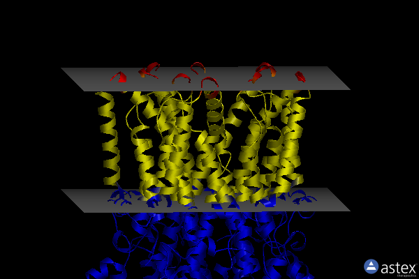 Membrane view of 8d1n