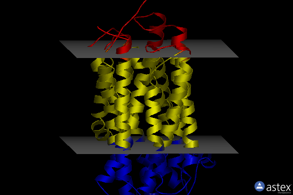 Membrane view of 8d2u