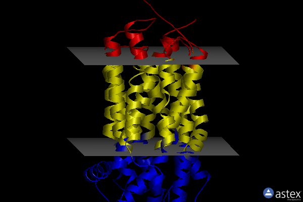 Membrane view of 8d2v