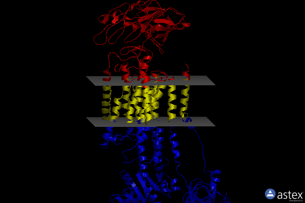 Membrane view of 8d3v