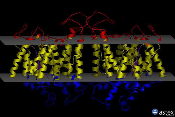 Membrane view of 8d9n
