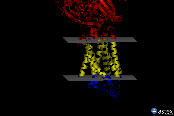 Membrane view of 8dcr