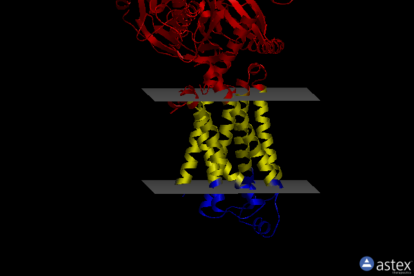 Membrane view of 8dcs