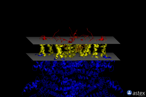 Membrane view of 8ddq