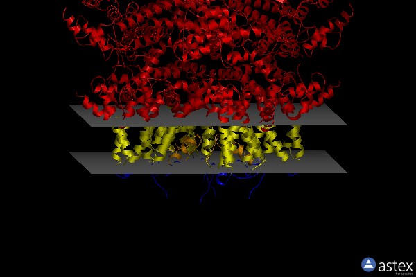 Membrane view of 8ddt