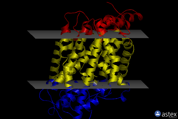 Membrane view of 8de3