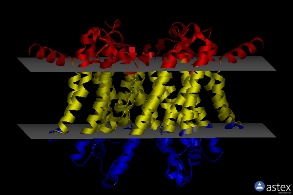 Membrane view of 8dhm