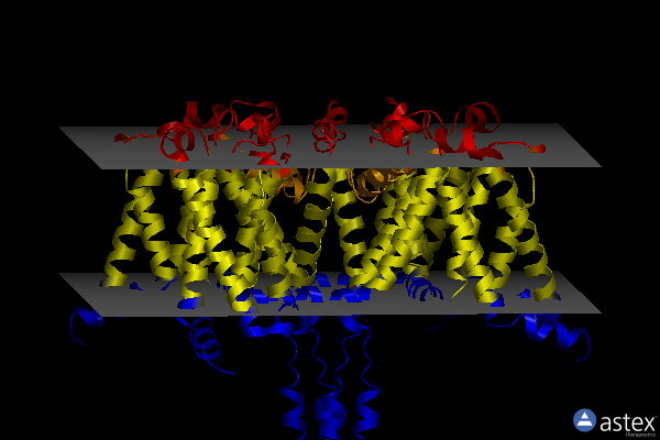 Membrane view of 8diw