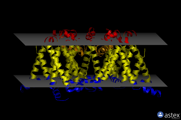 Membrane view of 8diz
