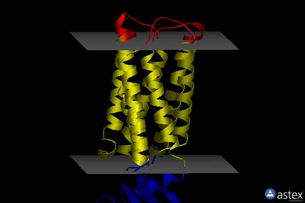 Membrane view of 8dki