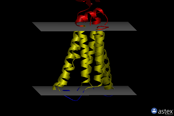 Membrane view of 8dkx