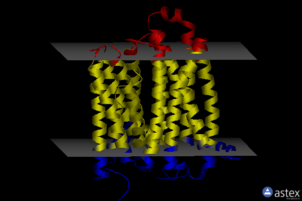 Membrane view of 8dl8
