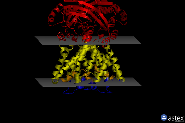 Membrane view of 8dne