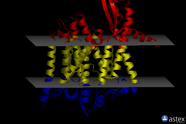 Membrane view of 8do0