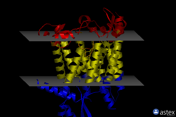 Membrane view of 8do3