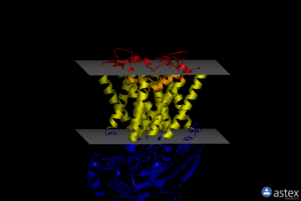 Membrane view of 8dou