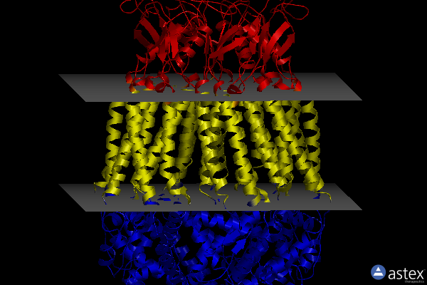 Membrane view of 8dr8