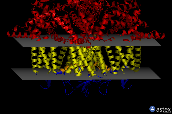 Membrane view of 8drp