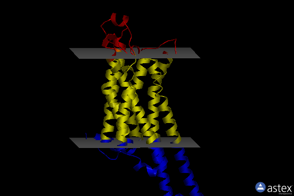 Membrane view of 8du3